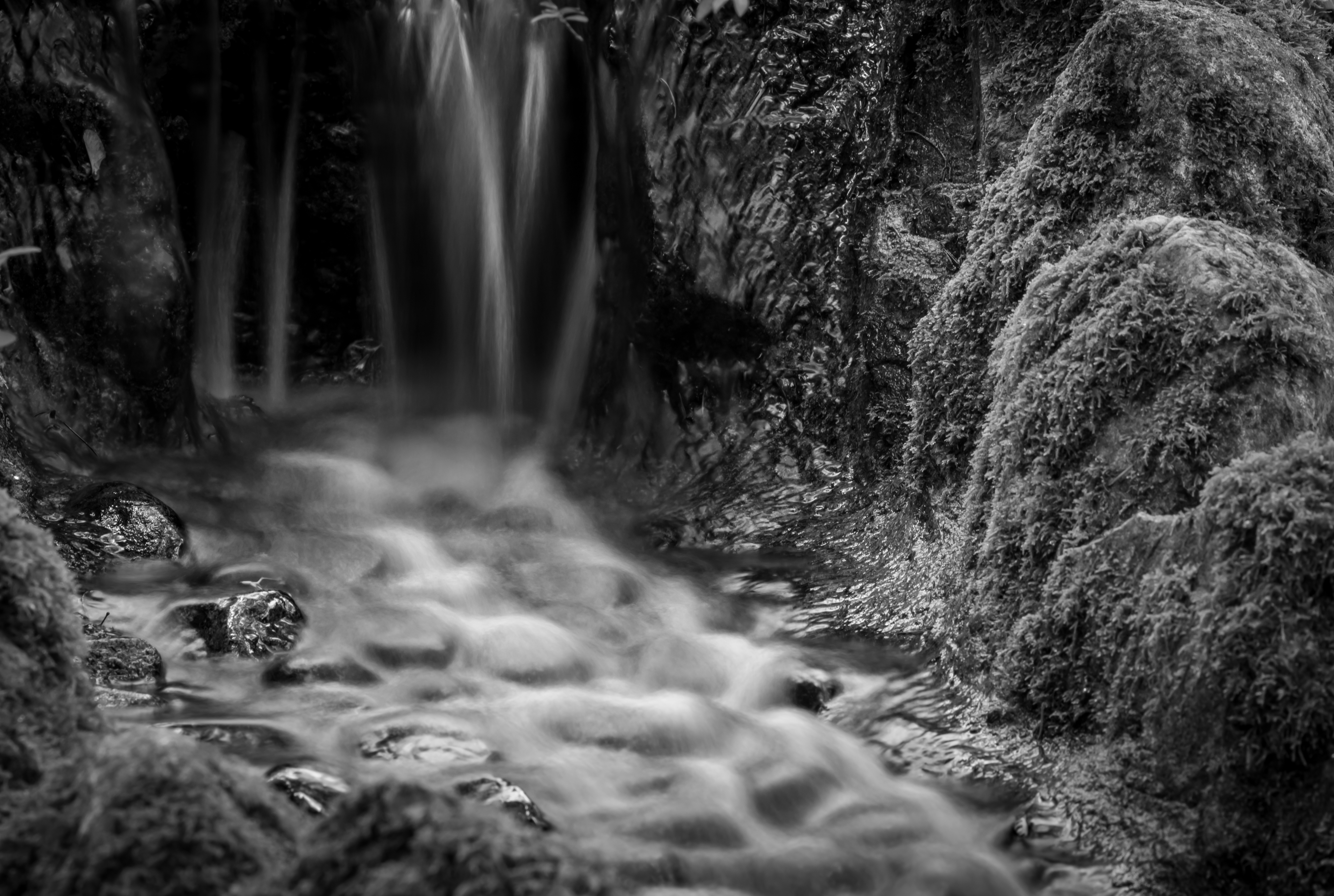 B&W-21