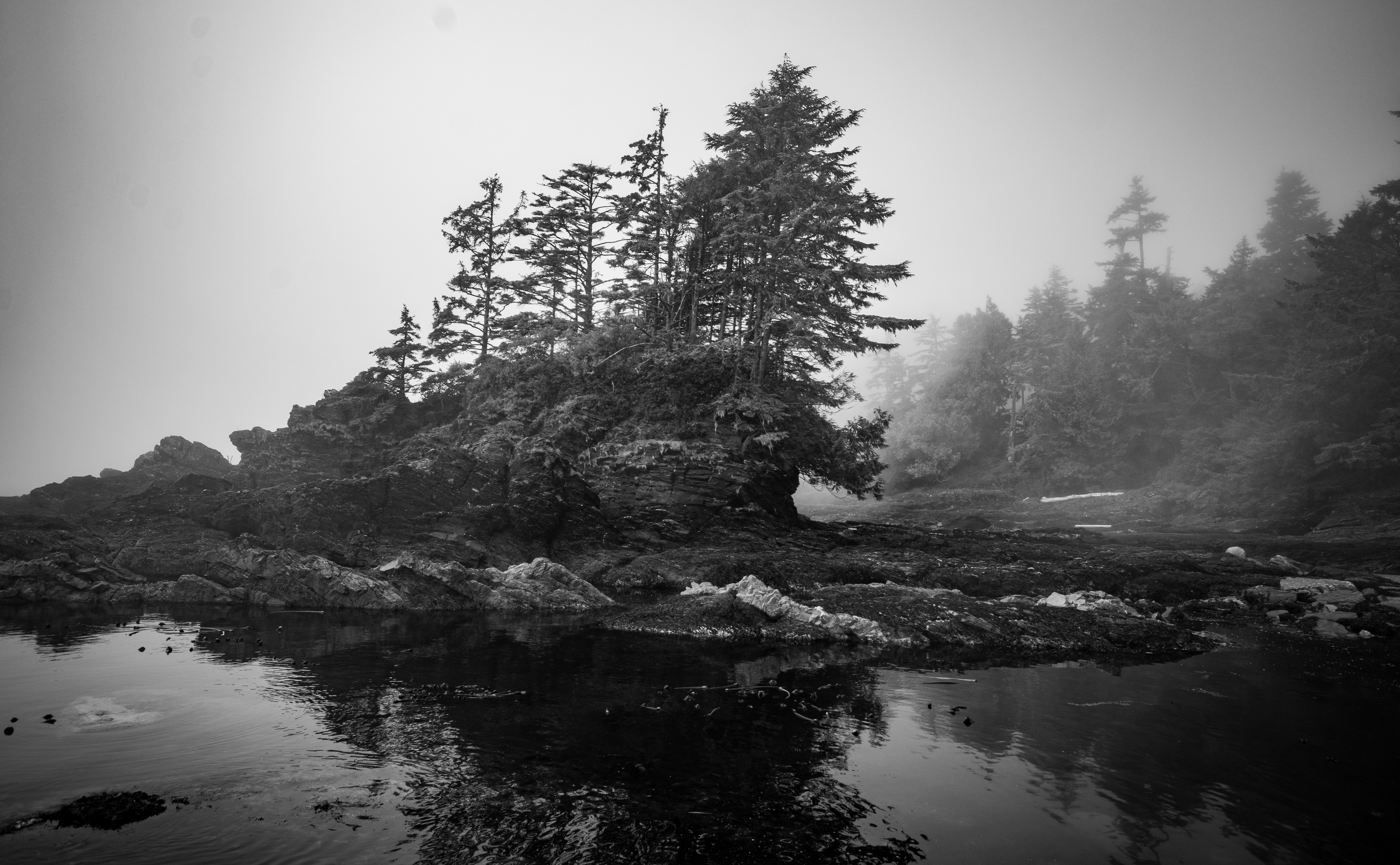 B&W-22