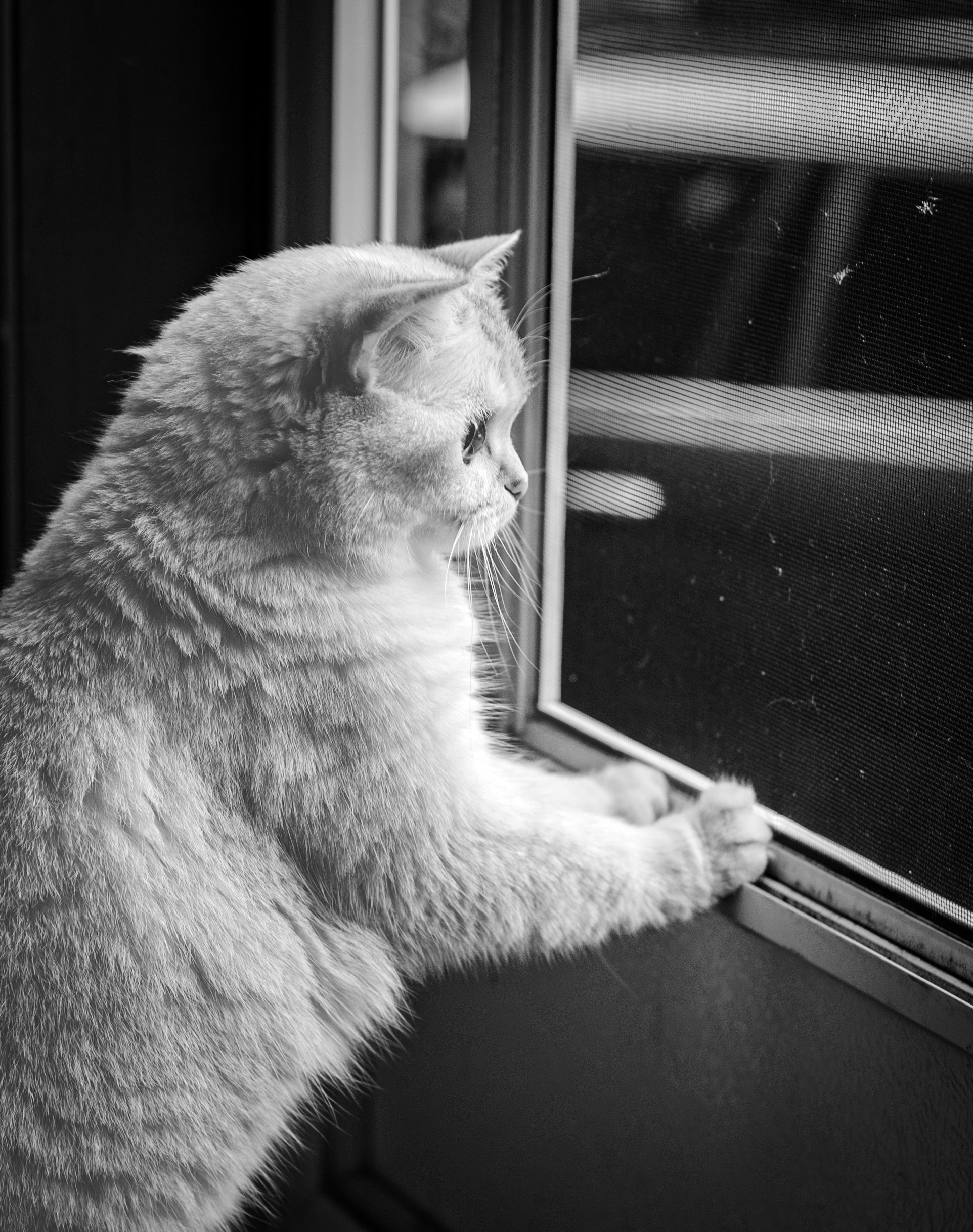 B&W-24