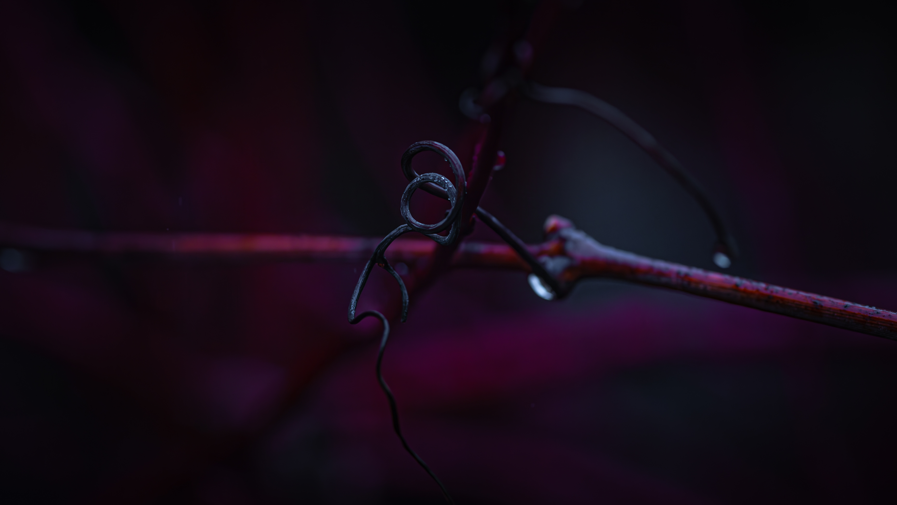 macro-1