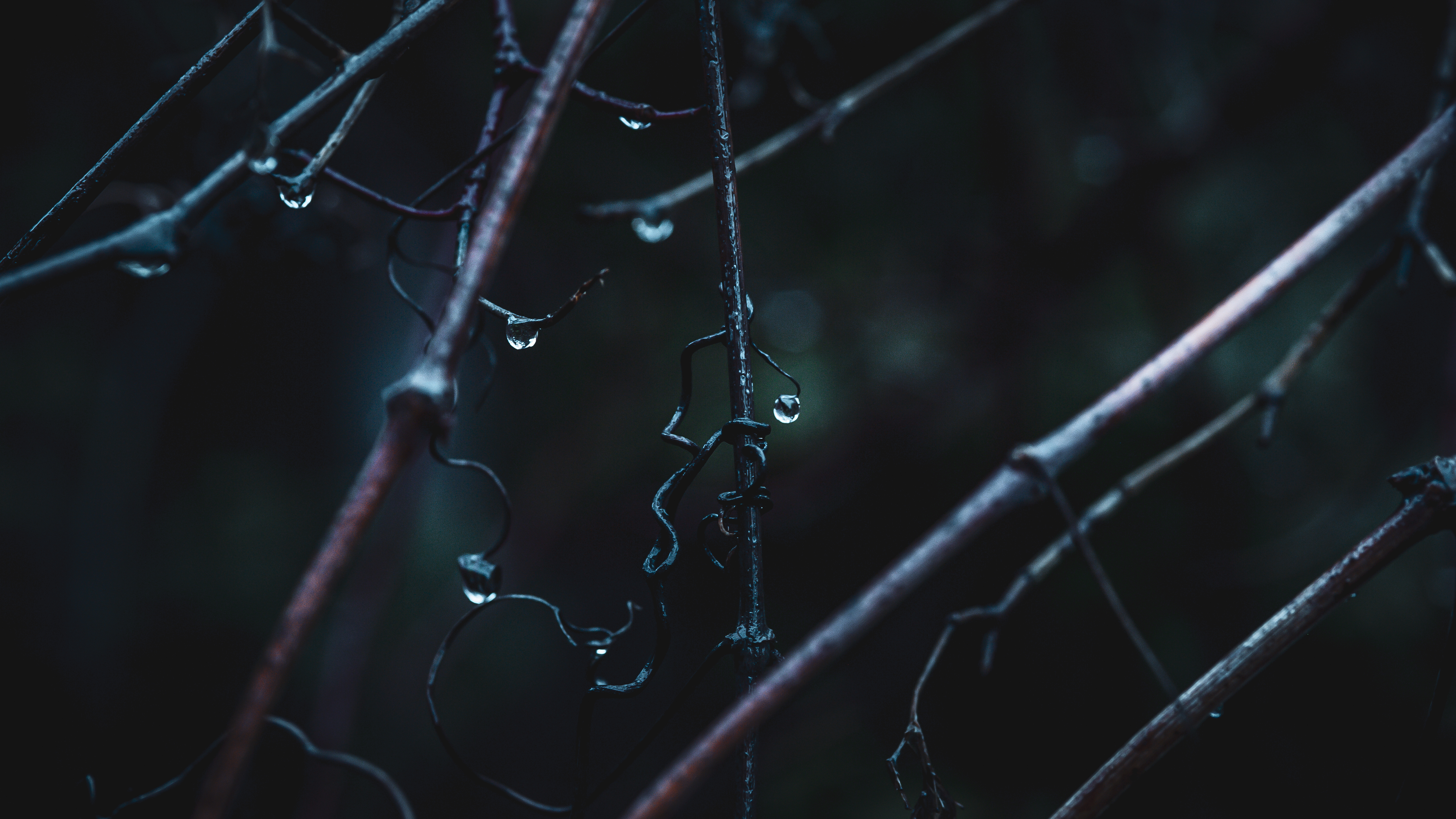 macro-3