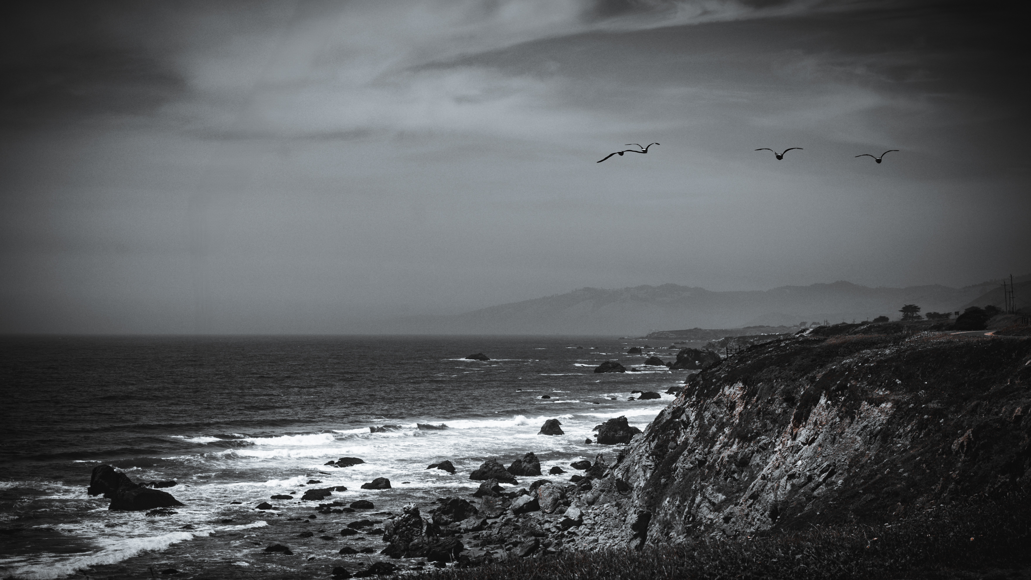 nature-10