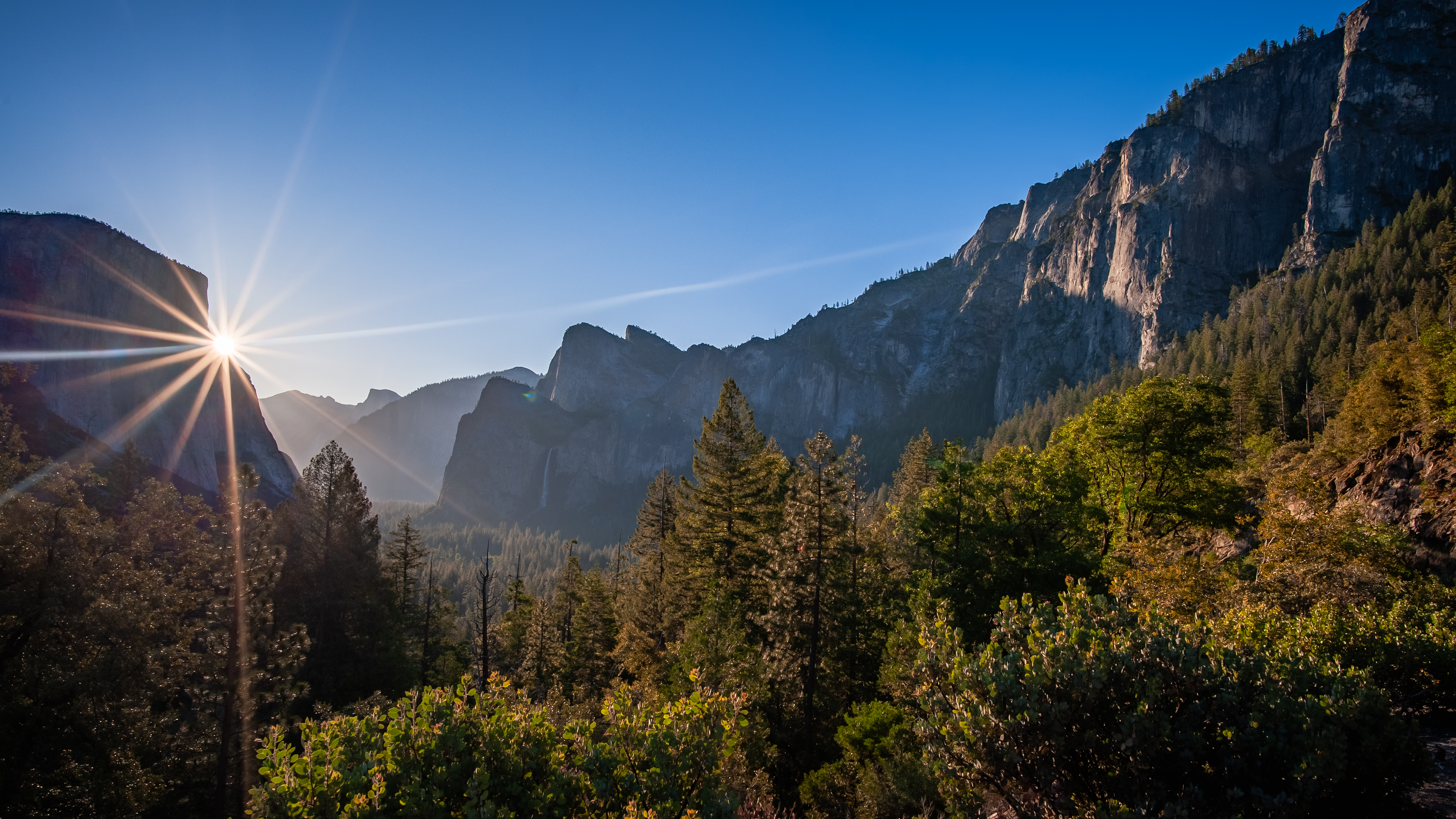 nature-3