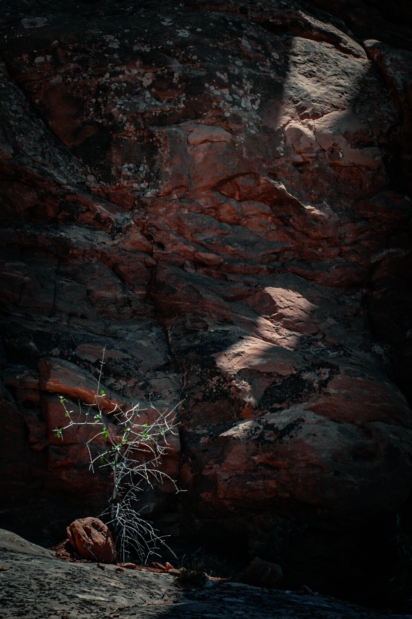 nature-9